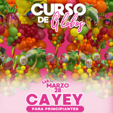 CURSO BÁSICO DE GLOBOS 28 MARZO 2026